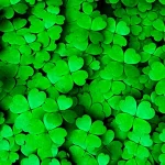 verde | il colore | Alberta Colombo